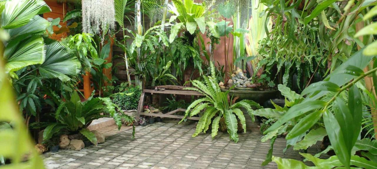 Ouychai Resort Home Stay Čiang Mai Exteriér fotografie
