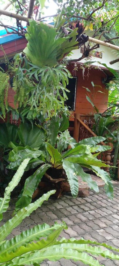 Ouychai Resort Home Stay Čiang Mai Exteriér fotografie