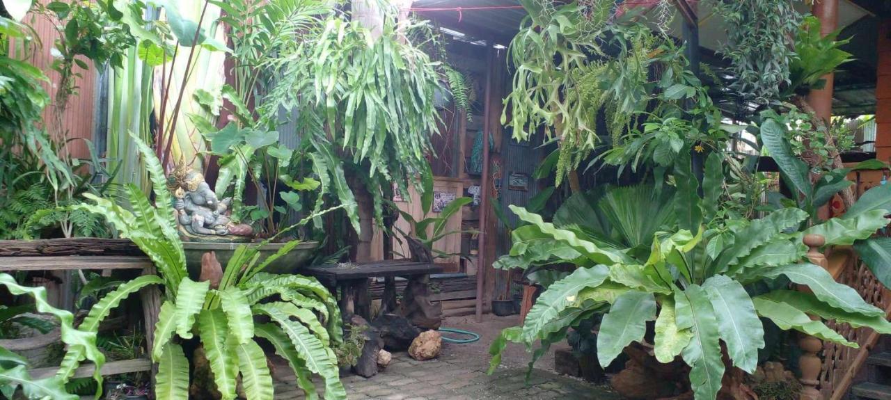 Ouychai Resort Home Stay Čiang Mai Exteriér fotografie